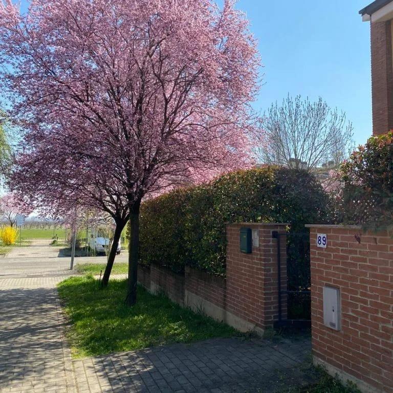 Suite Travel Home Modena Bagian luar foto